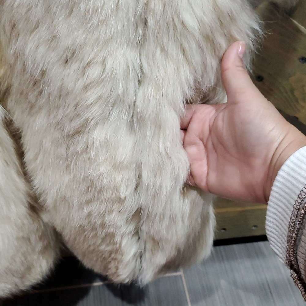 Vintage Cream Fur Cape Dunwoody Furs Drama Romantic Rock Myth Rich Retro - Picture 16 of 16